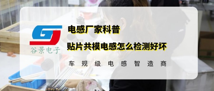 蘇州谷景電子有限公司 1